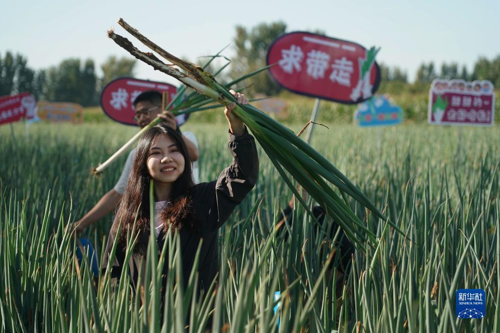 黄金海岸游戏大厅